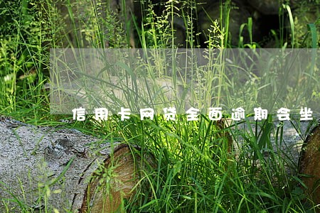 信用卡网贷全面逾期会坐牢吗 信用卡网贷全面逾期会坐牢吗
