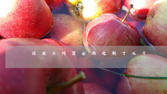 信用卡网贷全面逾期十五万