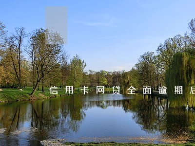 信用卡网贷全面逾期后怎么办 信用卡网贷全面逾期后怎么办