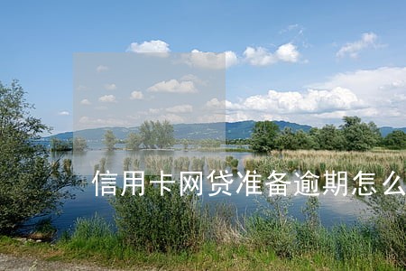 信用卡网贷准备逾期怎么处理
