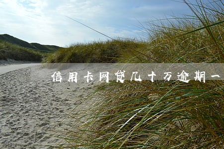 信用卡网贷几十万逾期一年多 信用卡网贷几十万逾期一年多