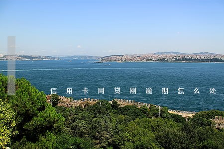 信用卡网贷刚逾期怎么处理