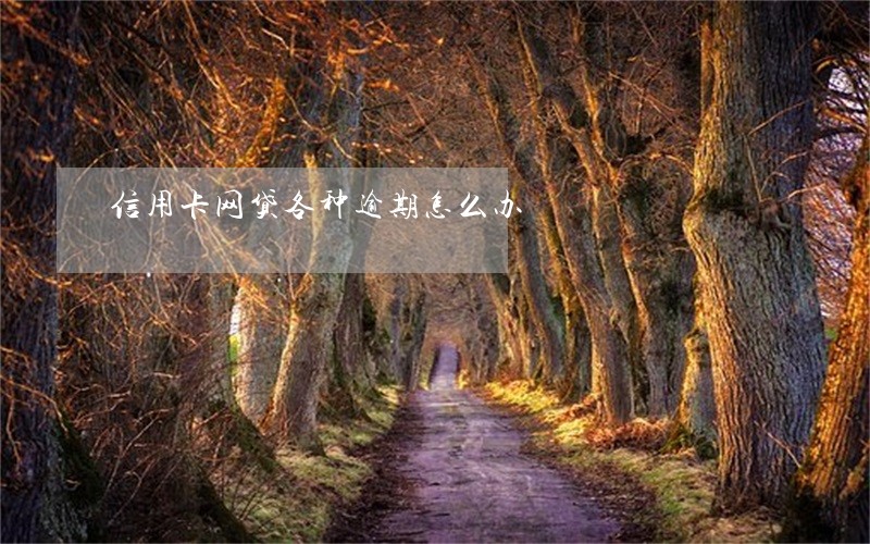 信用卡网贷各种逾期怎么办 信用卡网贷各种逾期怎么办