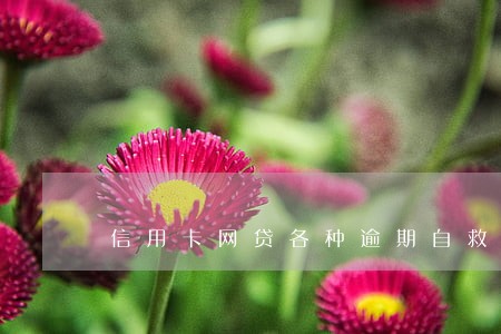 信用卡网贷各种逾期自救 信用卡网贷各种逾期自救