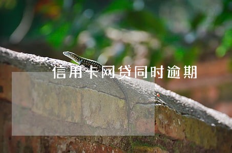 信用卡网贷同时逾期 信用卡网贷同时逾期