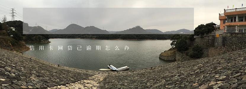 信用卡网贷已逾期怎么办 信用卡网贷已逾期怎么办
