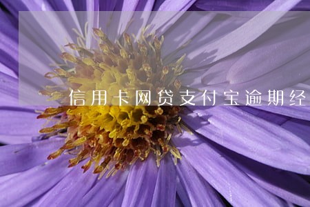 信用卡网贷支付宝逾期经历 信用卡网贷支付宝逾期经历