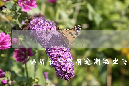 信用卡网贷有逾期能坐飞机吗 信用卡网贷有逾期能坐飞机吗