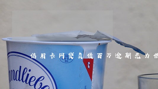 信用卡网贷负债百万逾期无力偿还