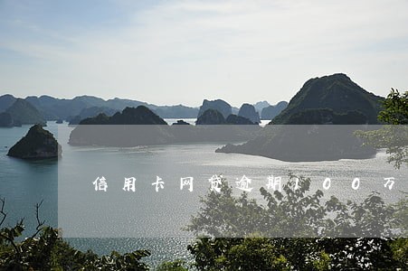 信用卡网贷逾期100万判刑案例 信用卡网贷逾期100万判刑案例