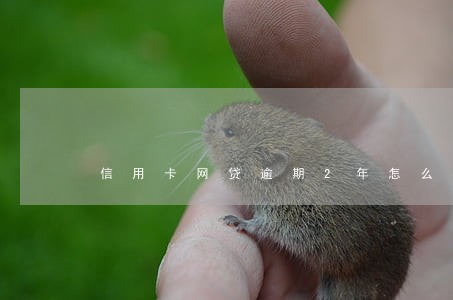 信用卡网贷逾期2年怎么办 信用卡网贷逾期2年怎么办