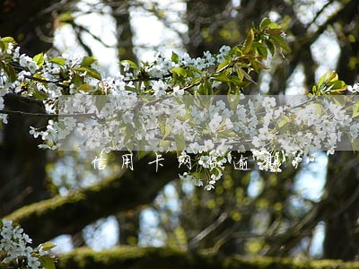 信用卡网贷逾期30