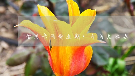 信用卡网贷逾期3个月怎么办 信用卡网贷逾期3个月怎么办