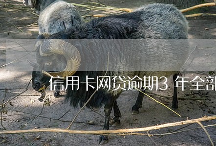 信用卡网贷逾期3年全部还清
