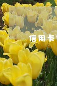 信用卡网贷逾期7个月