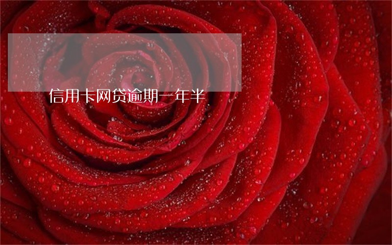 信用卡网贷逾期一年半 信用卡网贷逾期一年半