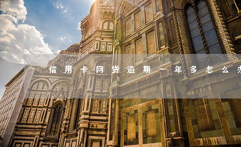 信用卡网贷逾期一年多怎么办 信用卡网贷逾期一年多怎么办