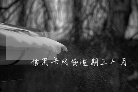 信用卡网贷逾期三个月 信用卡网贷逾期三个月