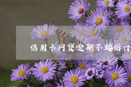 信用卡网贷逾期不起诉什么原因