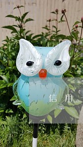 信用卡网贷逾期不还群 信用卡网贷逾期不还群