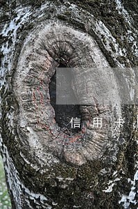 信用卡网贷逾期严重