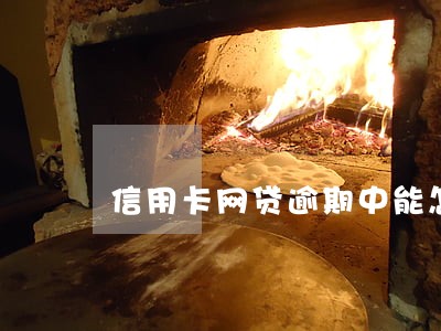 信用卡网贷逾期中能怎么做 信用卡网贷逾期中能怎么做