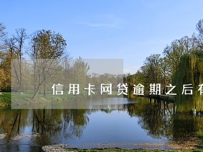 信用卡网贷逾期之后有可能入狱吗