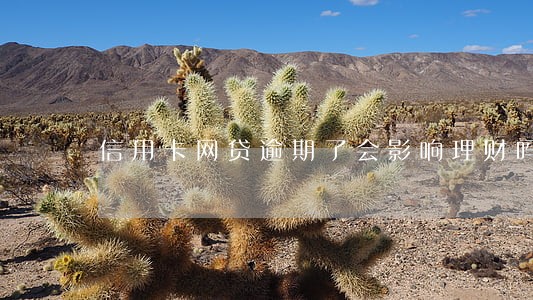 信用卡网贷逾期了会影响理财吗 信用卡网贷逾期了会影响理财吗