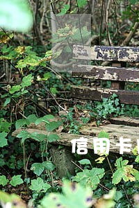 信用卡网贷逾期了会怎样 信用卡网贷逾期了会怎样