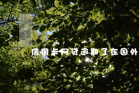 信用卡网贷逾期了在国外怎么还 信用卡网贷逾期了在国外怎么还