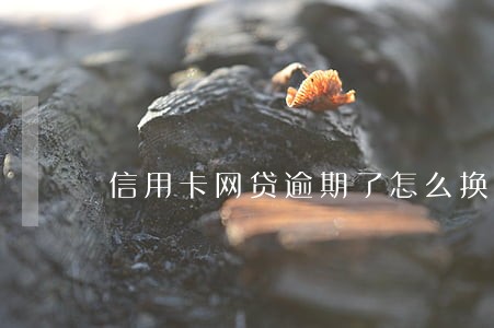 信用卡网贷逾期了怎么换联系方式 信用卡网贷逾期了怎么换联系方式