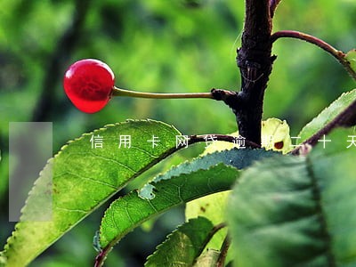 信用卡网贷逾期二十天 信用卡网贷逾期二十天