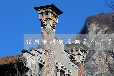 信用卡网贷逾期五个月了怎么办啊 信用卡网贷逾期五个月了怎么办啊