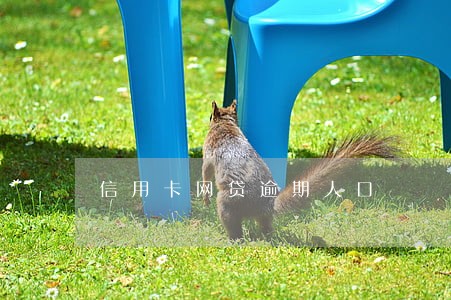 信用卡网贷逾期人口 信用卡网贷逾期人口