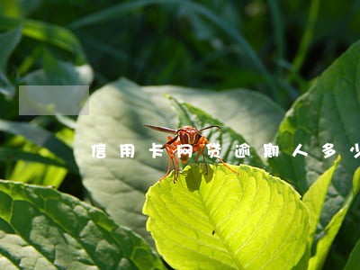 信用卡网贷逾期人多少