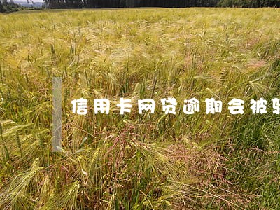 信用卡网贷逾期会被骚扰吗 信用卡网贷逾期会被骚扰吗