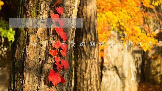 信用卡网贷逾期债务还款优先级 信用卡网贷逾期债务还款优先级