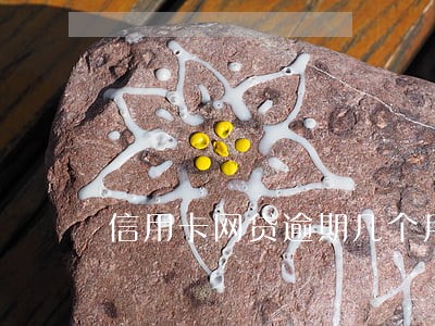 信用卡网贷逾期几个月还清