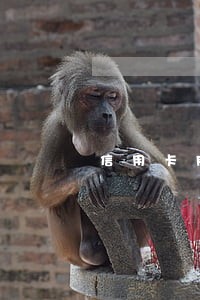 信用卡网贷逾期半年 信用卡网贷逾期半年