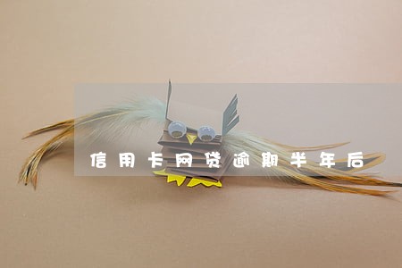 信用卡网贷逾期半年后 信用卡网贷逾期半年后