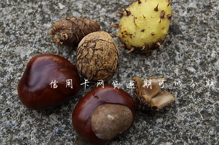 信用卡网贷逾期可以分期手机吗 信用卡网贷逾期可以分期手机吗
