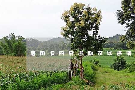 信用卡网贷逾期可以进澳门 信用卡网贷逾期可以进澳门
