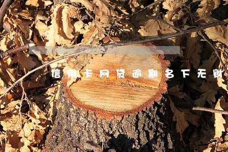 信用卡网贷逾期名下无财产 信用卡网贷逾期名下无财产