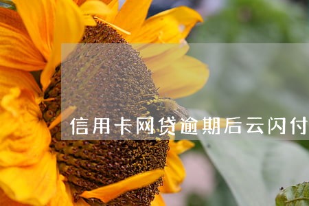 信用卡网贷逾期后云闪付安全吗 信用卡网贷逾期后云闪付安全吗