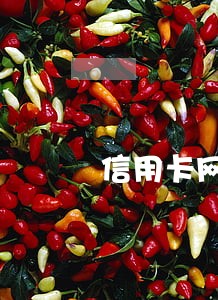 信用卡网贷逾期后卡片会被冻结 信用卡网贷逾期后卡片会被冻结