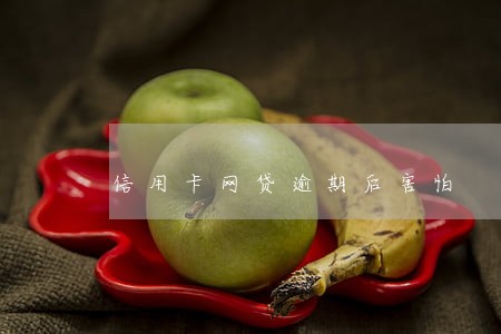 信用卡网贷逾期后害怕 信用卡网贷逾期后害怕