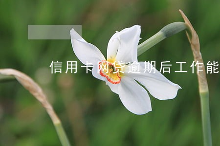 信用卡网贷逾期后工作能保住吗 信用卡网贷逾期后工作能保住吗