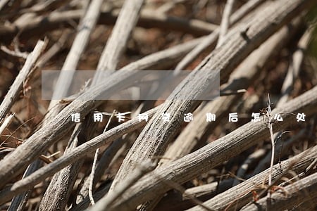 信用卡网贷逾期后怎么处理 信用卡网贷逾期后怎么处理