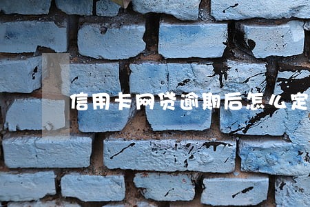 信用卡网贷逾期后怎么定制还款