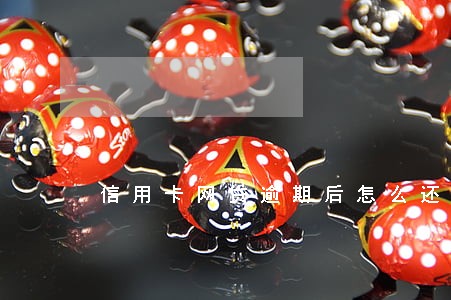 信用卡网贷逾期后怎么还 信用卡网贷逾期后怎么还